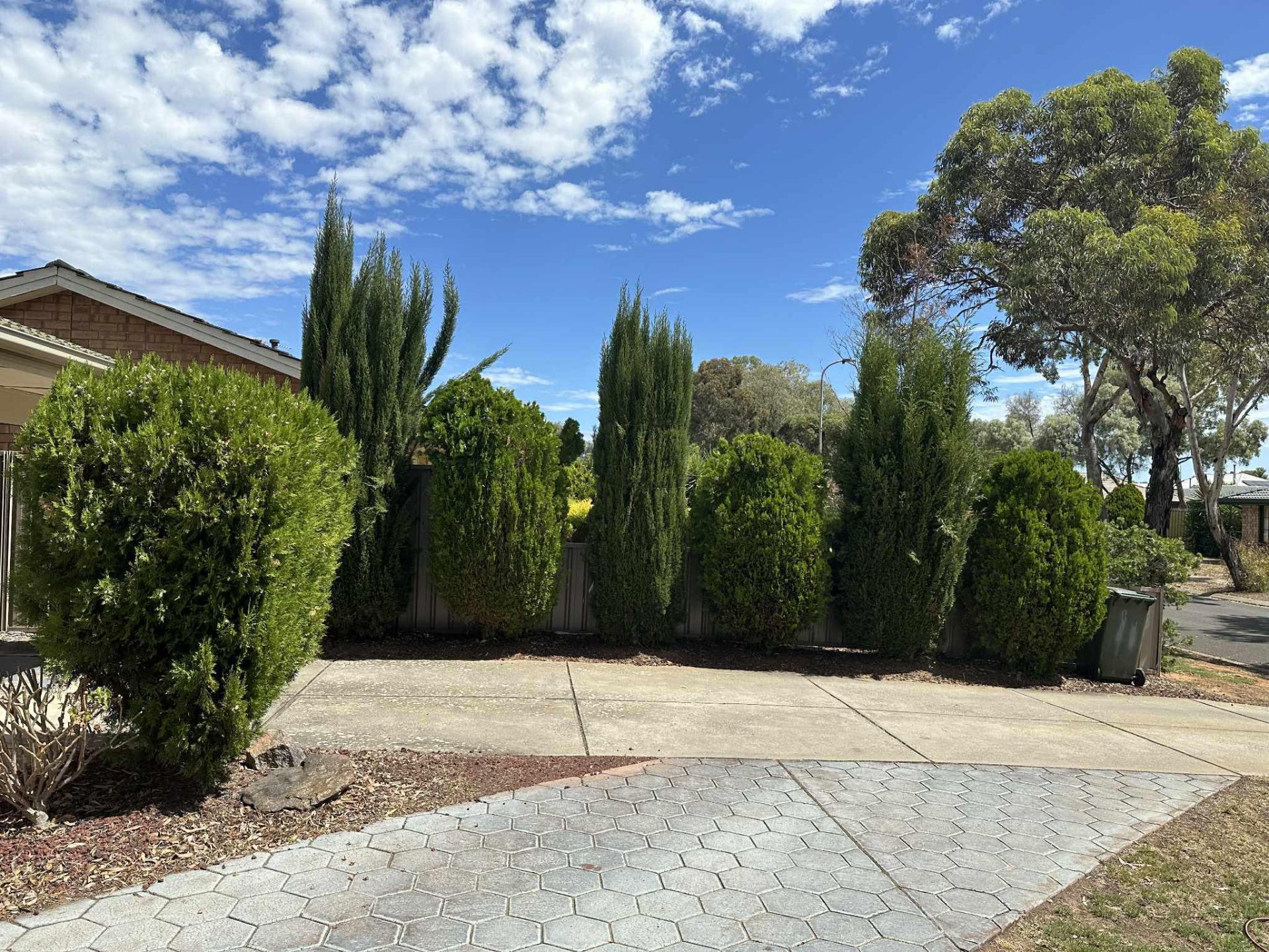 Shaped conifers and tidy front garden after a maintenance visit